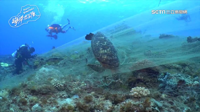 琉球悲歌！海底廢棄漁網纏死綠蠵龜