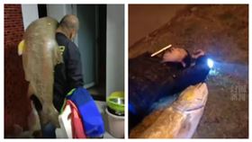 中國,湘江,鳡魚