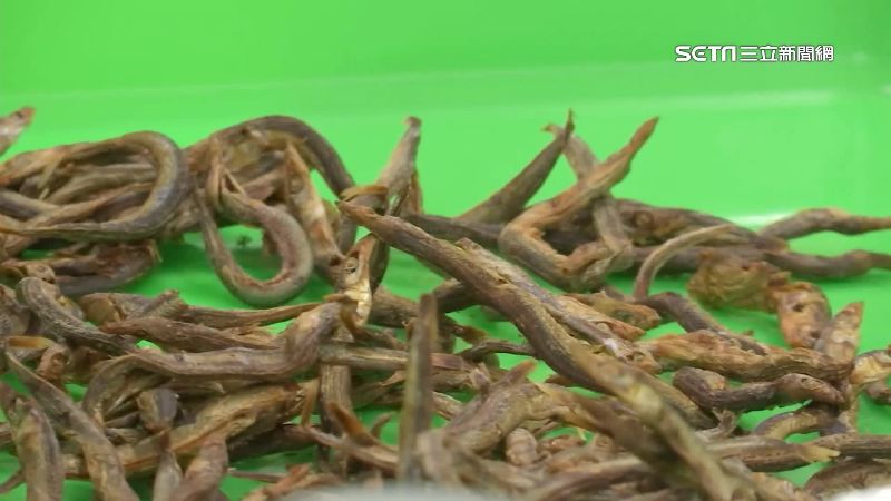 中山大研究：7國家小魚乾驗出微塑膠