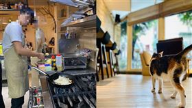 義大利餐廳,板橋,瓦斯外洩,店貓,情侶,快速爐,網友,同情