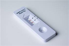 快篩,陽性,快篩陽性,▲（示意圖／翻攝自Pixabay）

