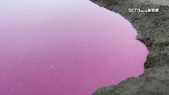 七股粉紅池爆紅　遊客亂扔石地主喊苦