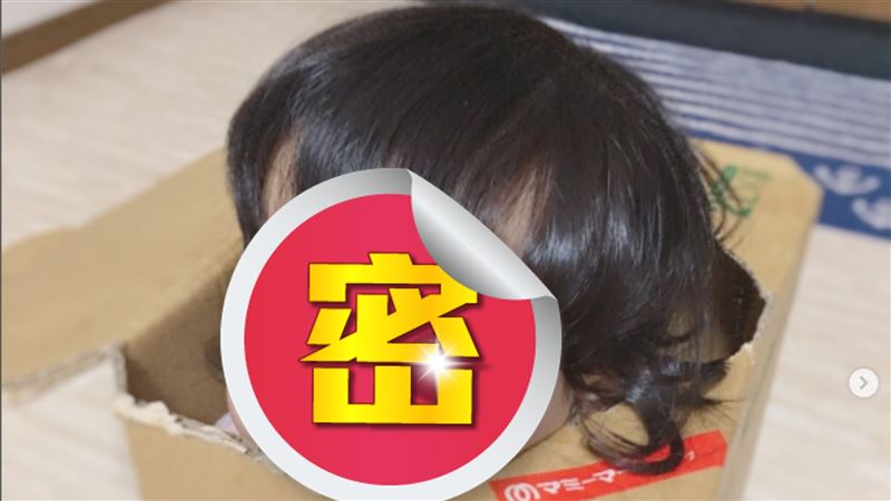 「又想騙我生女兒」紙箱洋娃娃爆紅