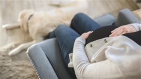 美國最高法院有意廢除墮胎權，加州誓言捍衛墮胎權利。（圖／翻攝自Pixabay）