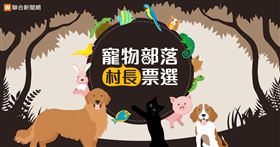 ▲聯合新聞網寵物部落歡慶開站，即日起至5月12日於活動網站投稿毛寶貝萌照，就有機會當選寵物部落村長！5月13日至5月22日參加投票，還有機會抽中家樂福千元禮券！（圖／聯合新聞網提供）