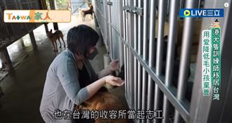港犬隻訓練師移居台灣　用愛降低棄養
