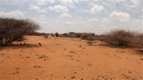 2021 年 10 月 9 日，在肯亞馬薩比特縣 Kargi 鎮附近看到一頭因持續乾旱而死亡的驢的屍體。照片拍攝於 2021 年 10 月 9 日。（示意圖／路透社／達志影像）