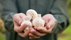 缺維生素D確診重症多14倍？ 專家教2招補足：多吃曬乾香菇