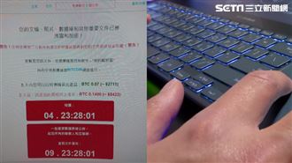 Win10更新有詐　男用戶中獎崩潰