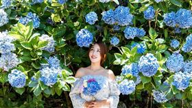 陽明山竹子湖,Klook提供