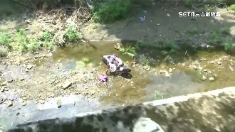 遭新田步道流浪狗追　車栽河床人住院