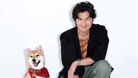 陳柏霖「極島森林」三立新聞網專訪。（記者邱榮吉/攝影）