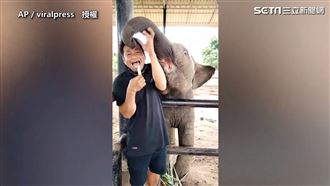 大象與飼養員搶食　搶不贏委屈狂搖頭