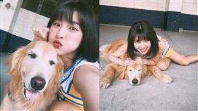 峮峮,啦啦隊,黃金獵犬,毛孩