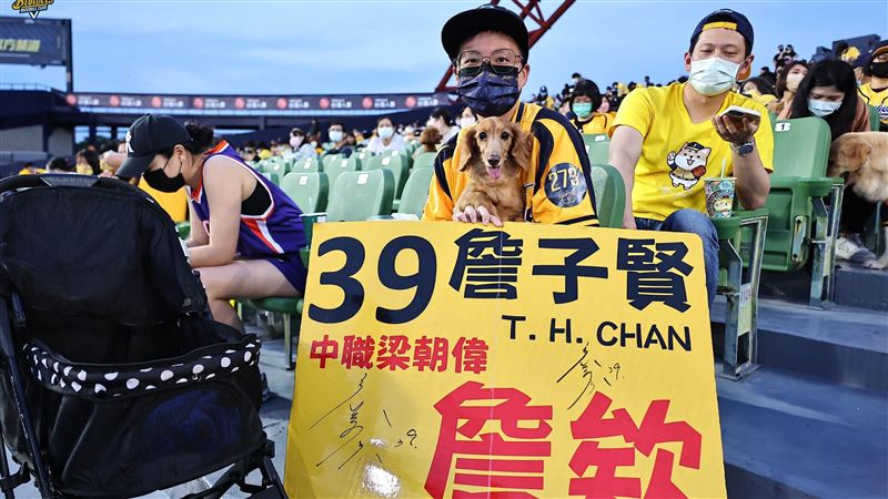 詹子賢再見安打柯瑞　中信兄弟5連勝