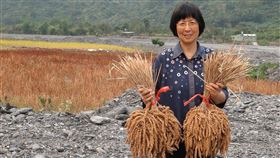 人類學家胡台麗（圖／翻攝自胡台麗臉書）