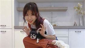 HowHow,鄧福如,兒子,鼠鼻,生病,狗（圖／鄧福如IG