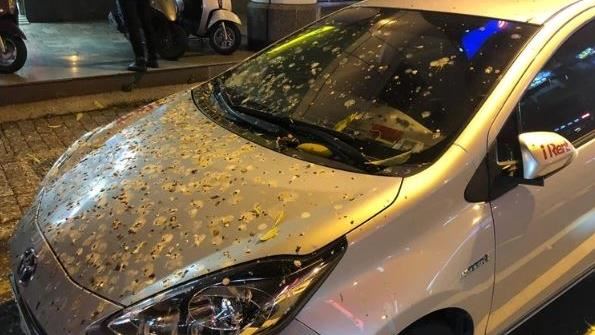 這車格沒人敢停！他曬一張照全場秒懂