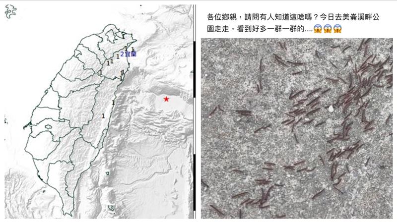 全台有感地震　她見驚人「生物群聚」
