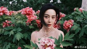 范冰冰（圖／翻攝自范冰冰微博）