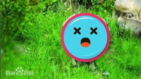 山海經,羚牛,神獸