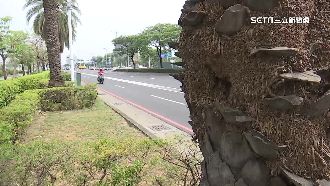 用「紙箱掩護」拍違規？警喊冤揭真相