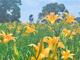 來源　台灣旅行趣