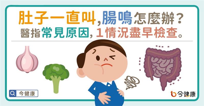 肚子一直叫腸鳴怎麼辦？醫曝常見原因