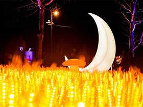 來源　台灣旅行趣