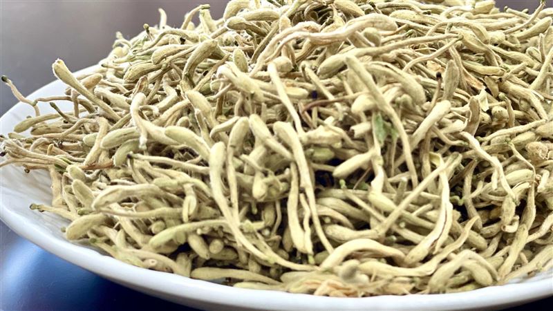這中藥能抗新冠肺炎　2種人不宜飲用