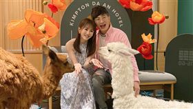 王宥忻 草泥馬 固力狗娛樂提供