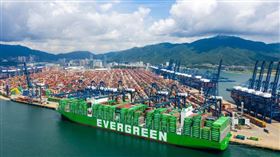 ▲長榮「弟弟派」若順利變更巴拿馬長榮國際永久董事長，將牽動長榮海運等五家公司經營權的勝率。（圖／CTWANT提供）