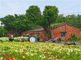 來源　台灣旅行趣