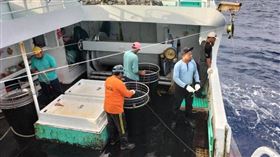 外籍漁工,洗工,人蛇集團,