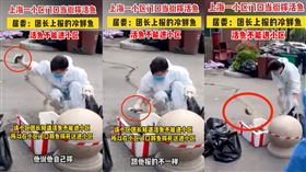 上海憂活魚傳遞病毒！志工徒手摔死魚