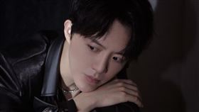 李雲迪嫖娼。(圖／李雲迪，央視網微博)