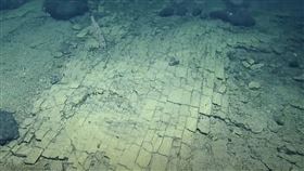 科學家在夏威夷附近海域發現「黃磚路」。（圖／翻攝自
E/V Nautilus推特）