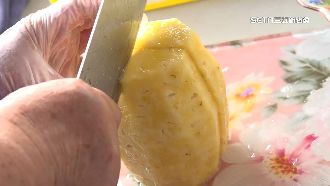 疫情影響雲林鳳梨外銷　包入粽搶救