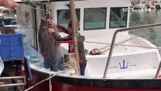 釣到「深海大石斑」！夢幻魚種賣6萬