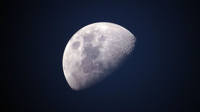 太空農業大進步「月球土壤」種出植物