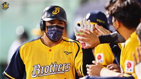 ▲中信兄弟陳子豪雙響砲。（圖／中信兄弟球團提供）