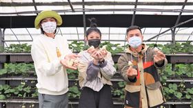 請問今晚住誰家。(圖/東森提供)