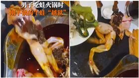 斷頭牛蛙「復活逃亡」…雙腿一躍跳出湯鍋　驚人畫面網看傻（圖／翻攝自四川觀察）