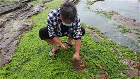 新北市政府漁業處提供