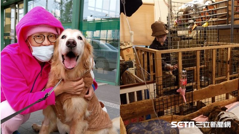 用光積蓄救老病癱瘓狗　罹癌醫曝心願