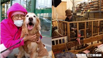 用光積蓄救老病癱瘓狗　罹癌醫曝心願