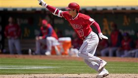 ▲大谷翔平連兩場炸裂，本季第8轟。（圖／美聯社／達志影像）