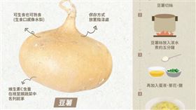 豆薯，地底下水梨　（圖／翻攝自鮮享農YA - 農糧署臉書）