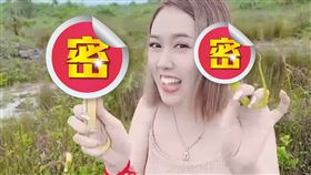 豬籠草,柬埔寨,生殖器官,下體