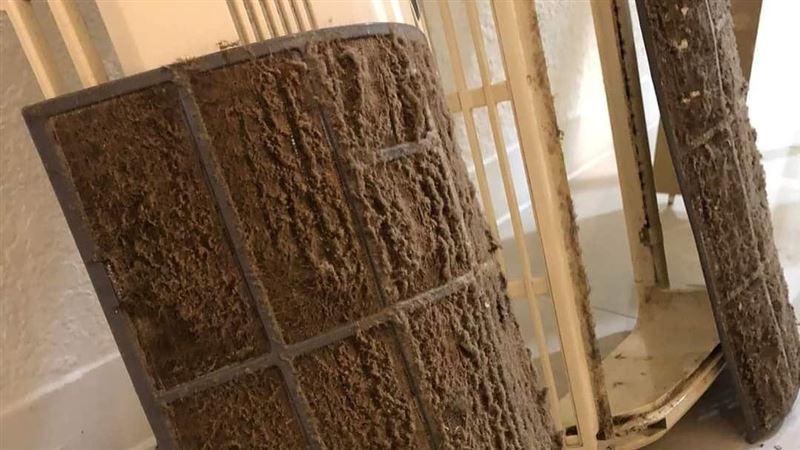 搬新家見古董盾牌　網吐翻：都過敏原